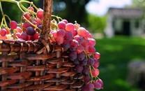 美味水果高清图片