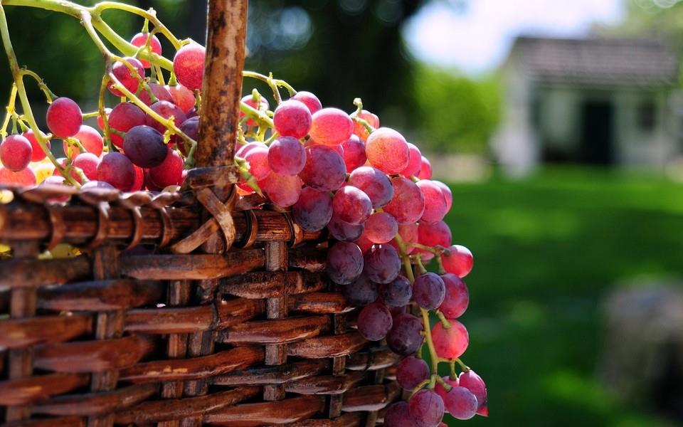 美味水果高清图片