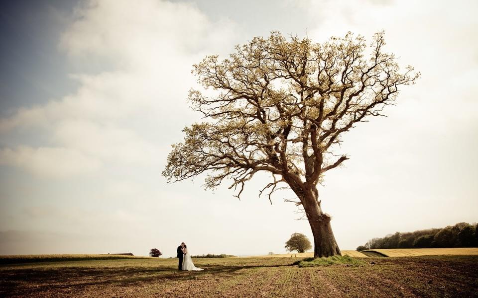 唯美幸福甜美婚纱照图片