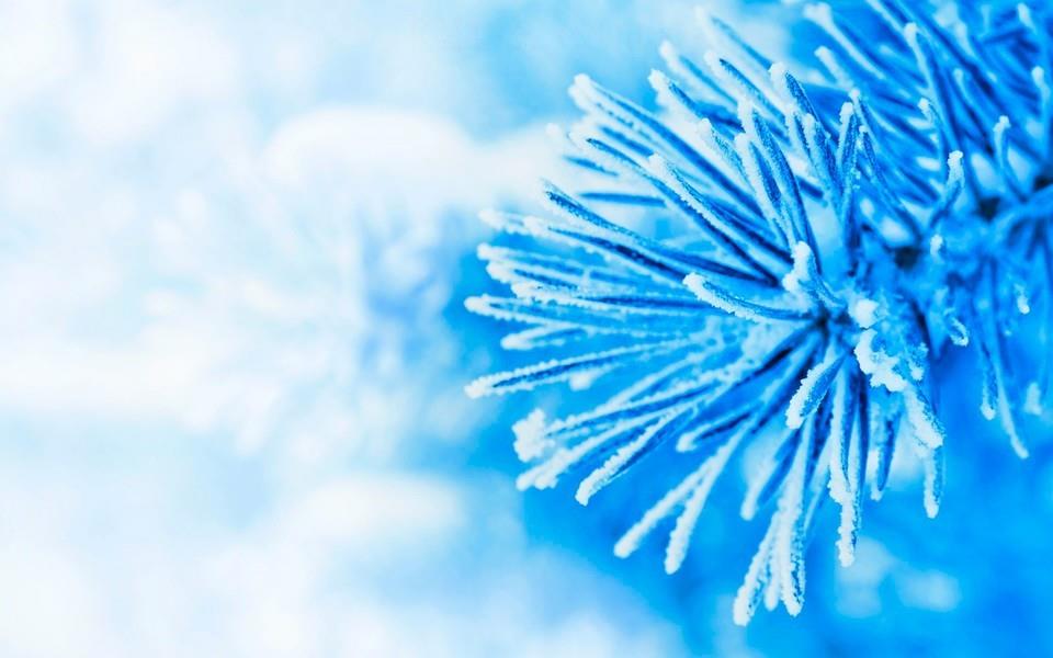 好看的背景图片 非常好看的背景图片分享