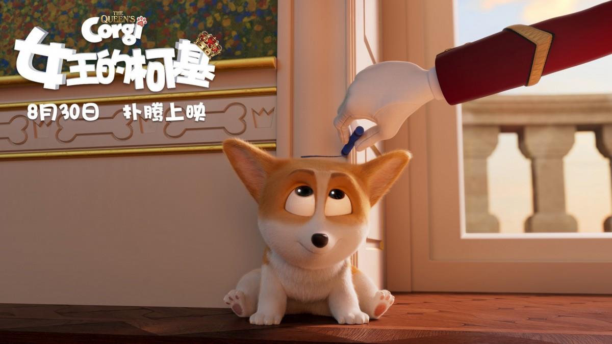 女王的柯基图片 女王的柯基动画电影图片分享