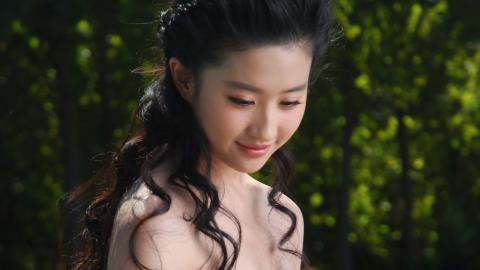 清纯美女刘亦菲图片