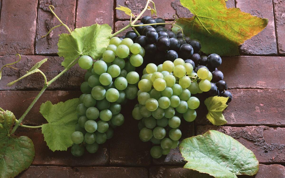 一串串可人的葡萄图片