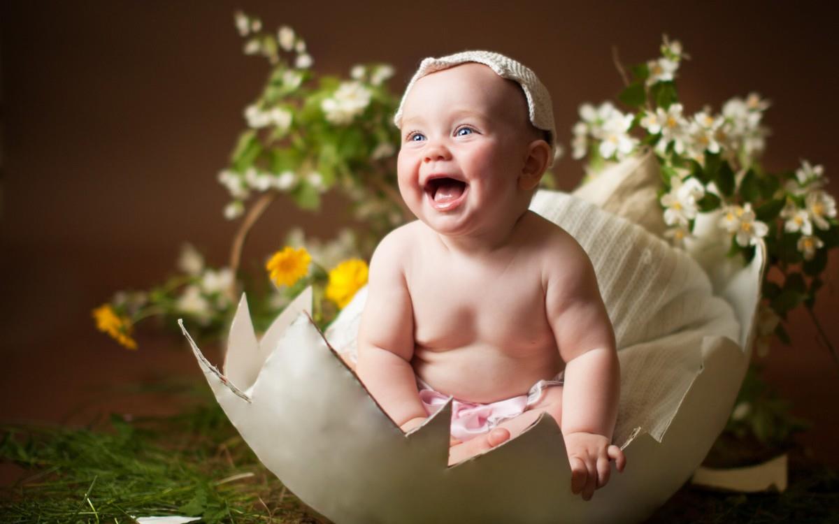 可爱婴儿宝宝农场图片