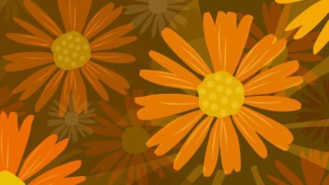 手绘鲜花图案图片