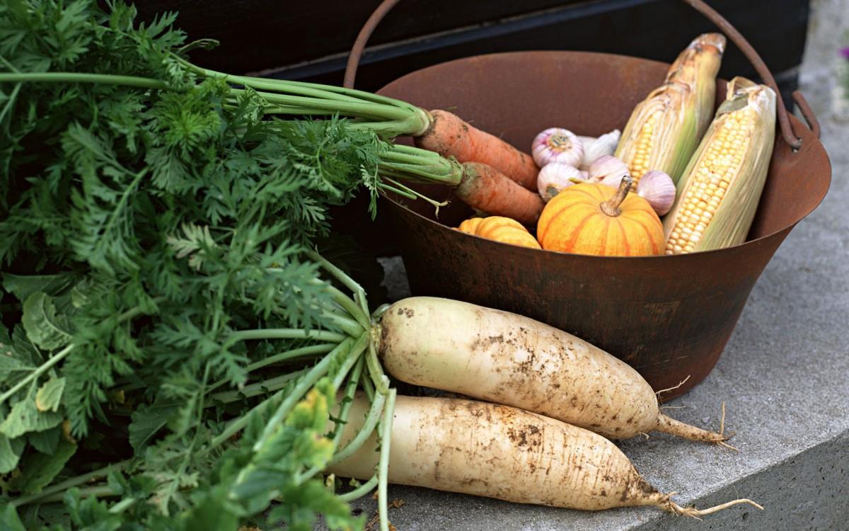 新鲜绿色健康蔬菜图片