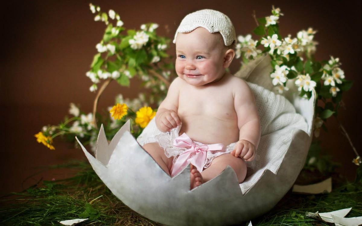 可爱婴儿宝宝农场图片