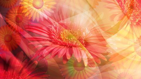 手绘鲜花图案图片