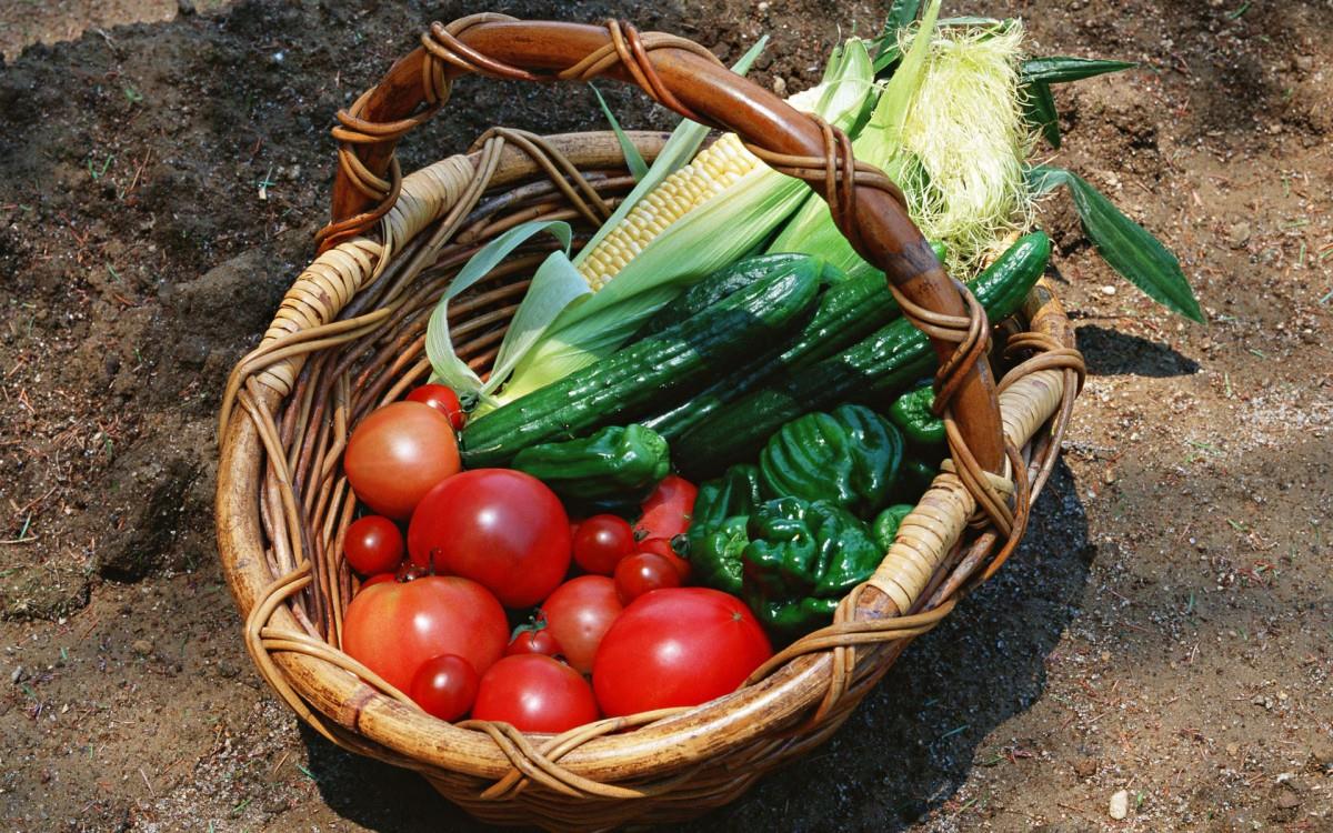 新鲜绿色健康蔬菜图片