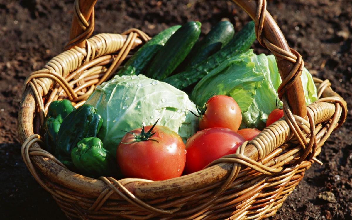 新鲜绿色健康蔬菜图片