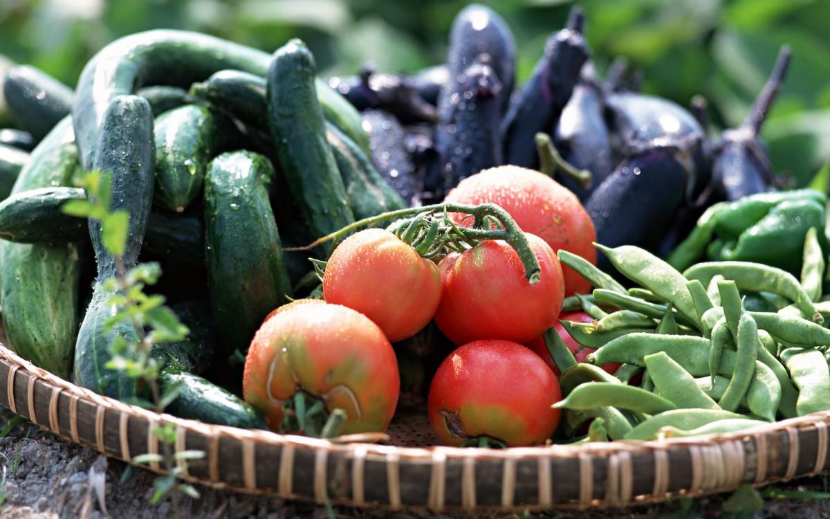 新鲜绿色健康蔬菜图片