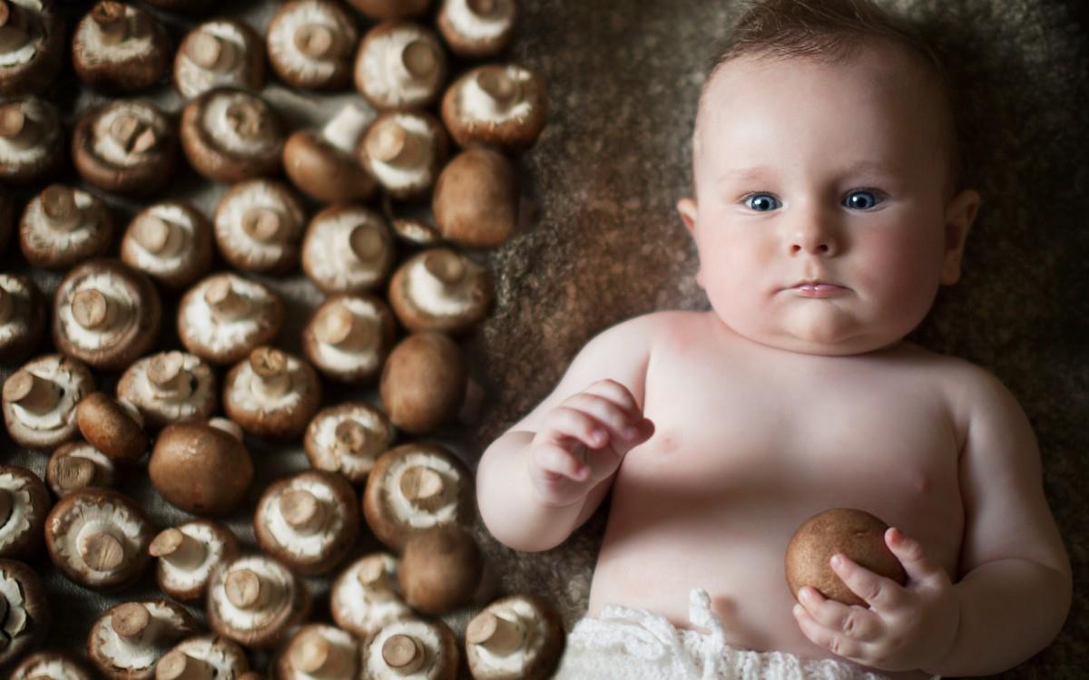 婴儿美食家图片