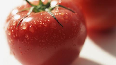 诱人的西红柿(番茄)图片大全