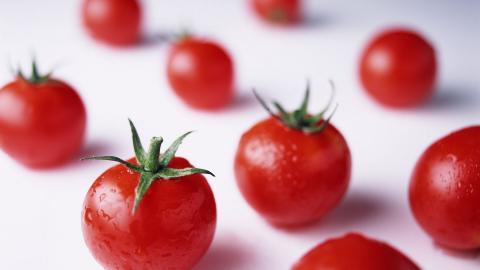 诱人的西红柿(番茄)图片大全