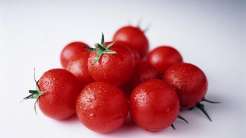诱人的西红柿(番茄)图片大全