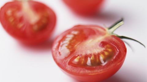 诱人的西红柿(番茄)图片大全