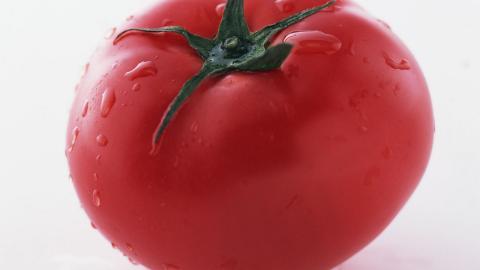 诱人的西红柿(番茄)图片大全