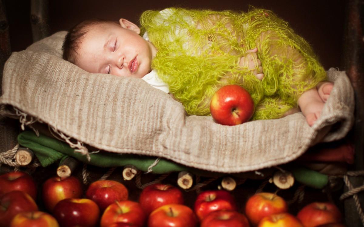 婴儿美食家图片