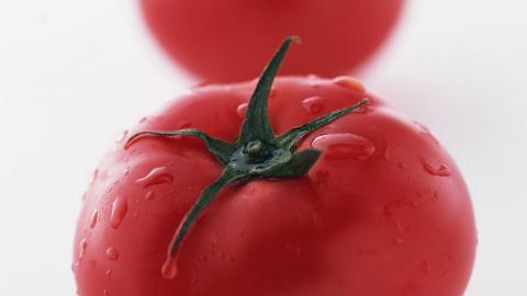 诱人的西红柿(番茄)图片大全