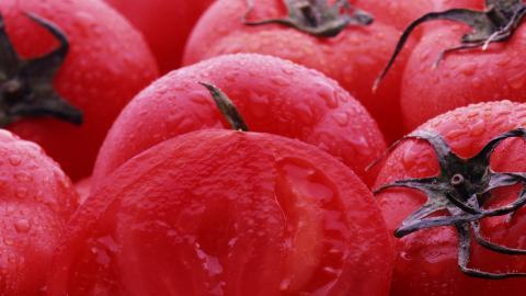 诱人的西红柿(番茄)图片大全