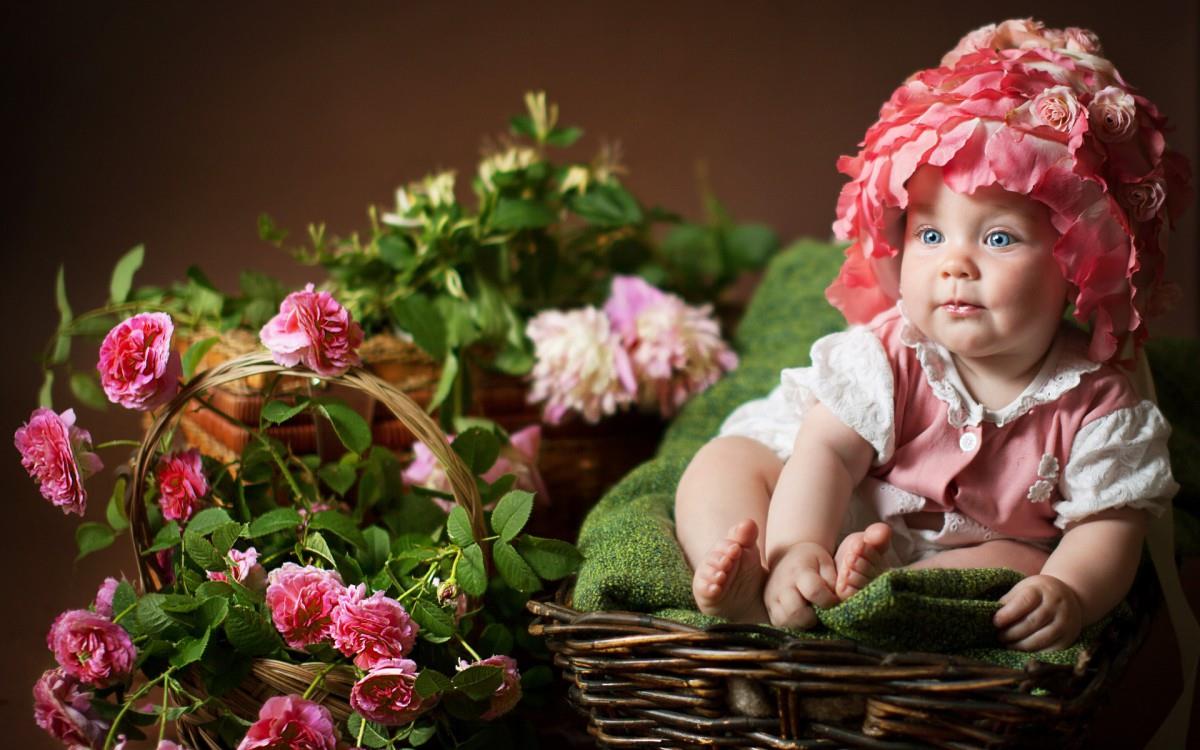 婴儿美食家图片