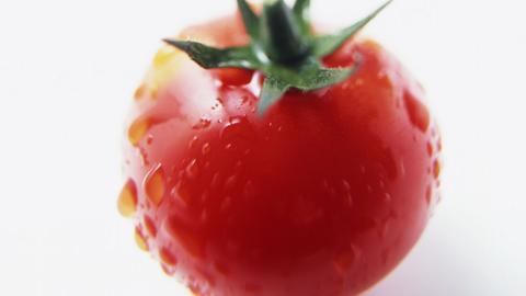 诱人的西红柿(番茄)图片大全