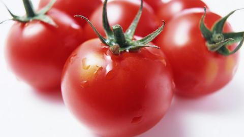 诱人的西红柿(番茄)图片大全