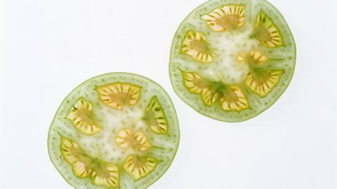 诱人的西红柿(番茄)图片大全