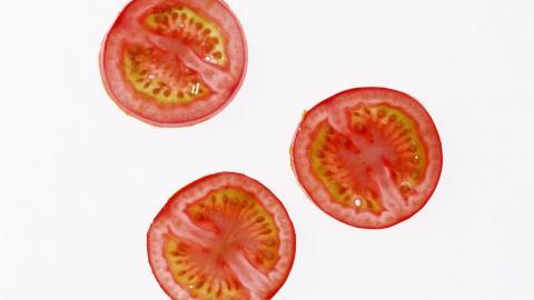 诱人的西红柿(番茄)图片大全