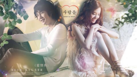 爱情雨高清剧照图片