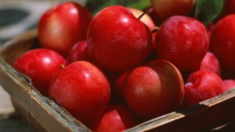 收获诱人苹果图片