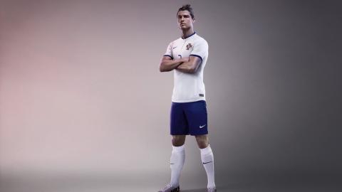 巴西世界杯C罗纳尔多图片