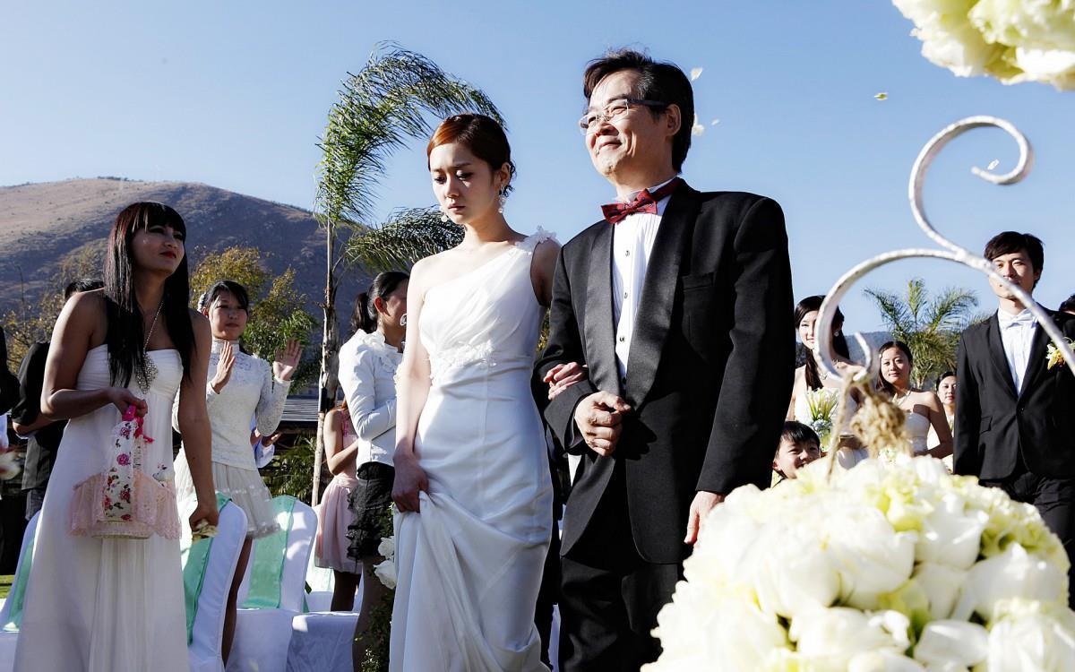 一起飞电影图片