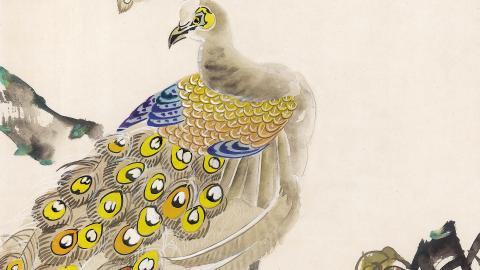 手绘国画鸟类图片