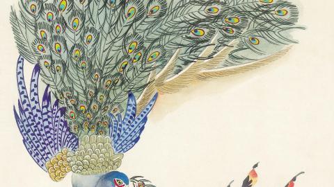 手绘国画鸟类图片