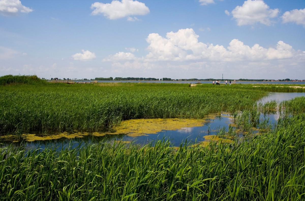 齐齐哈尔扎龙自然保护区风景图片大全