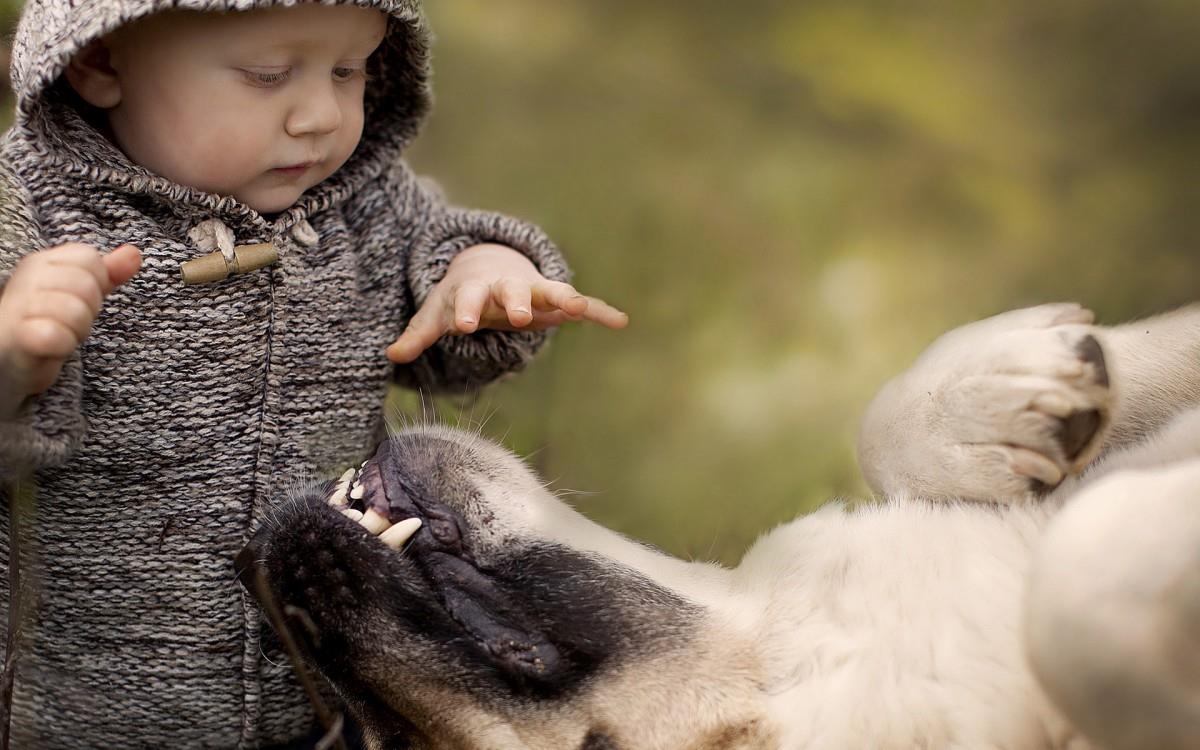 宝贝与宠物亲昵图片