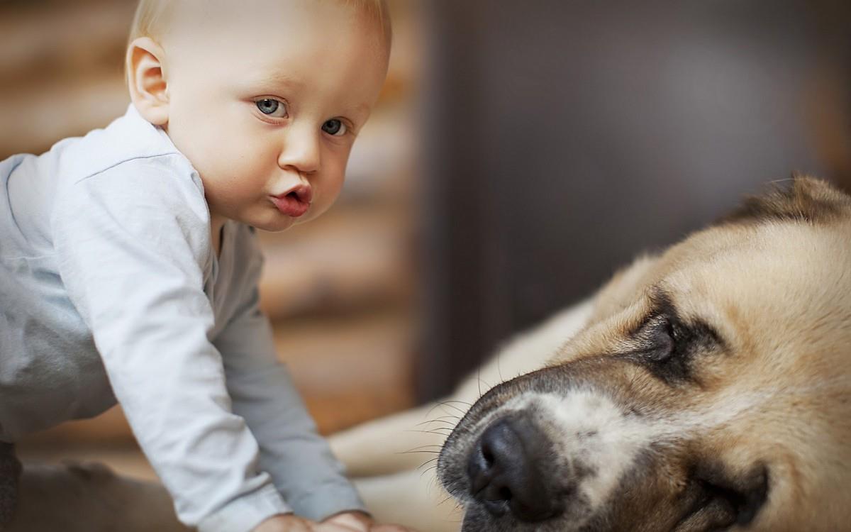 宝贝与宠物亲昵图片
