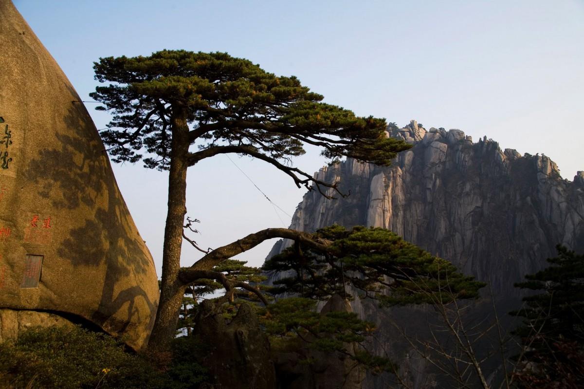 黄山国家地质公园风景图片