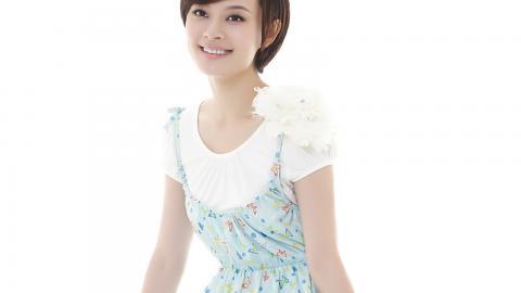 内地美女演员孙俪图片