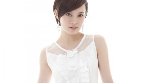 内地美女演员孙俪图片