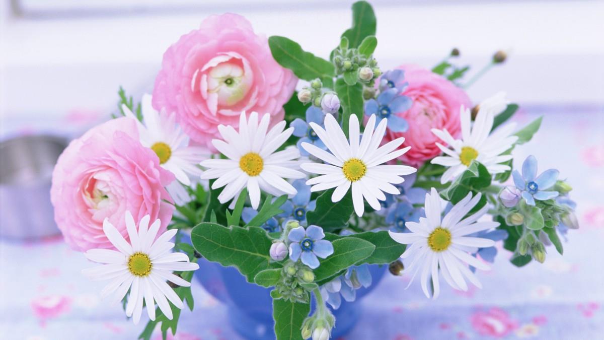 各色的鲜花图片