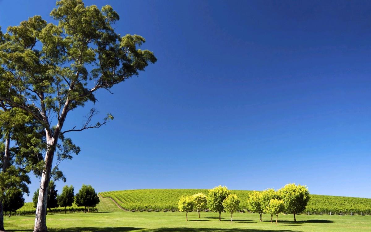 澳大利亚城市旅游风景图片