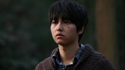 狼族少年韩剧图片