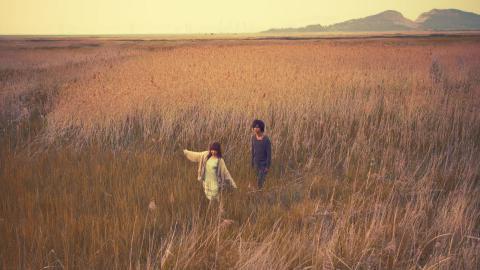 狼族少年韩剧图片