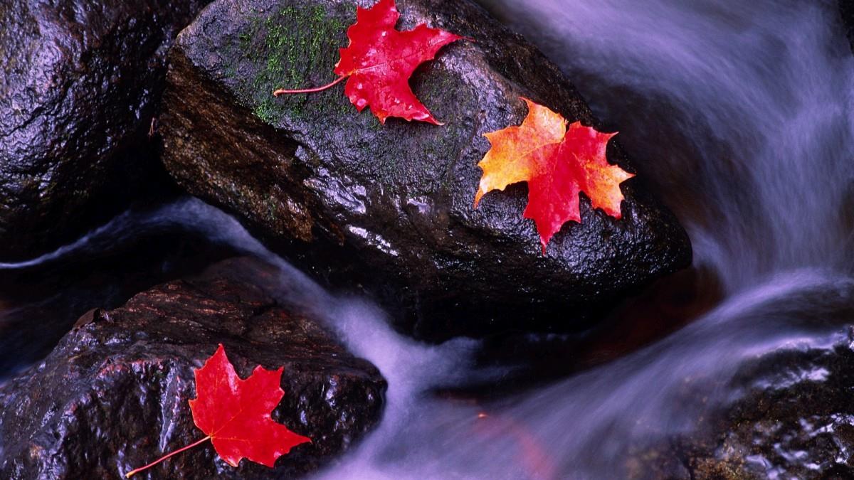 秋天的童话风景图片