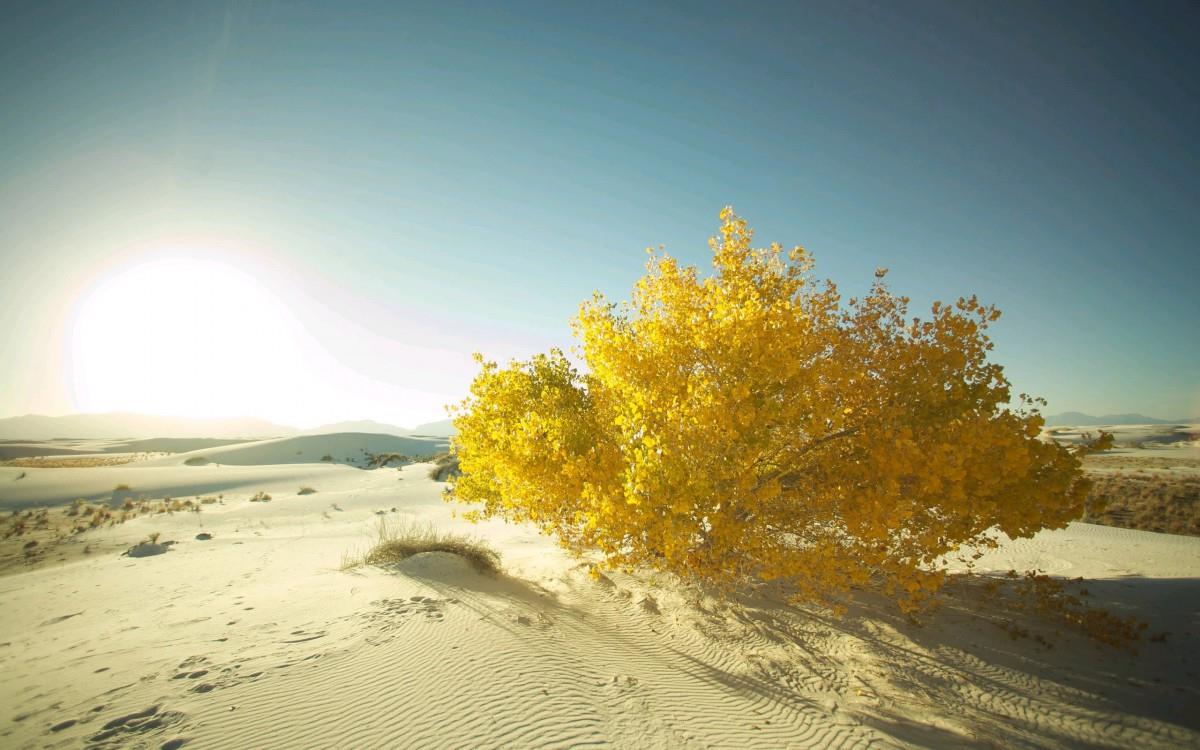 超高清沙漠戈壁风景图片