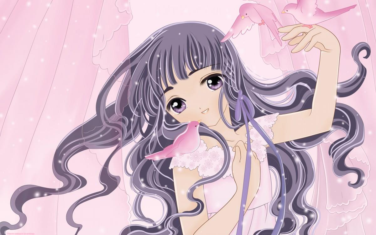 魔卡少女樱动漫图片