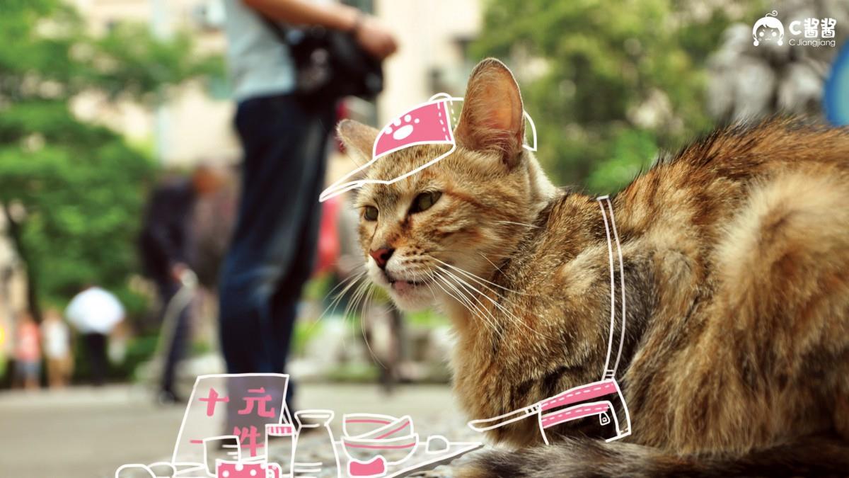 恶搞喵星人(猫咪)图片