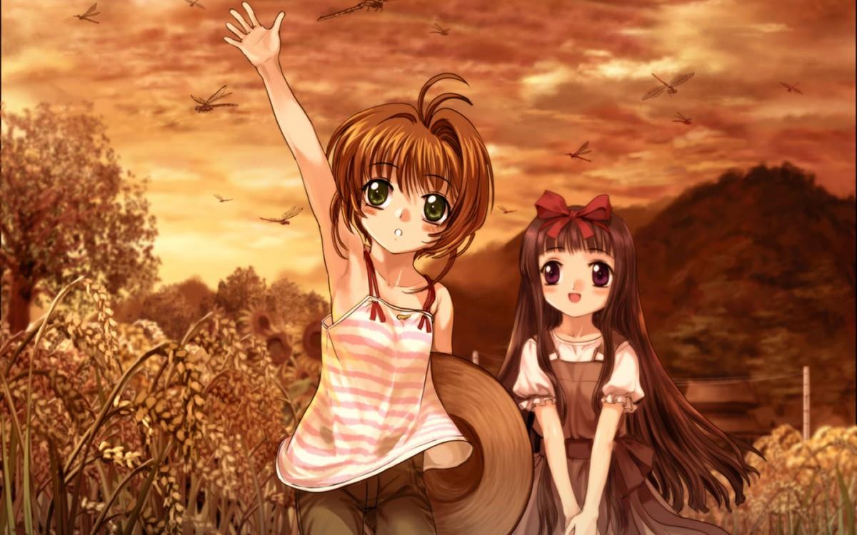 魔卡少女樱动漫图片